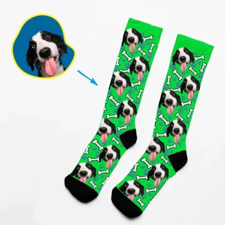 Hundeleben - Socken mit Ihrem Hund