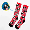 Hundeleben - Socken mit Ihrem Hund