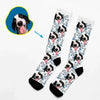 Hundeleben - Socken mit Ihrem Hund