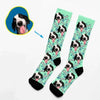 Hundeleben - Socken mit Ihrem Hund